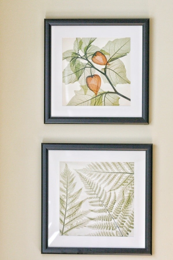 Quick Home Refresh : 10 Ways to get out of your Decor Rut