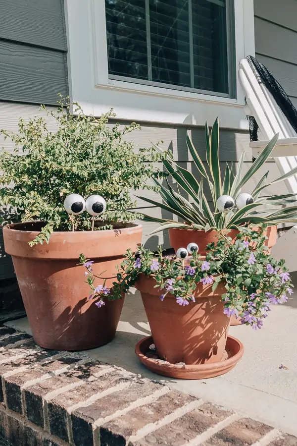 21 Halloween decor Ideas to Unleash your Creativity - Decor Hint plants with eyes sticking out