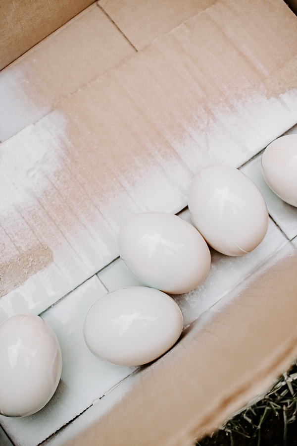 Spray Painting Plastic Easter Eggs