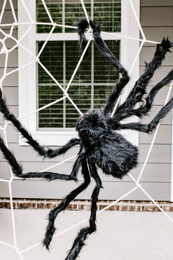 Giant Yarn Spider Web - MADE EVERYDAY