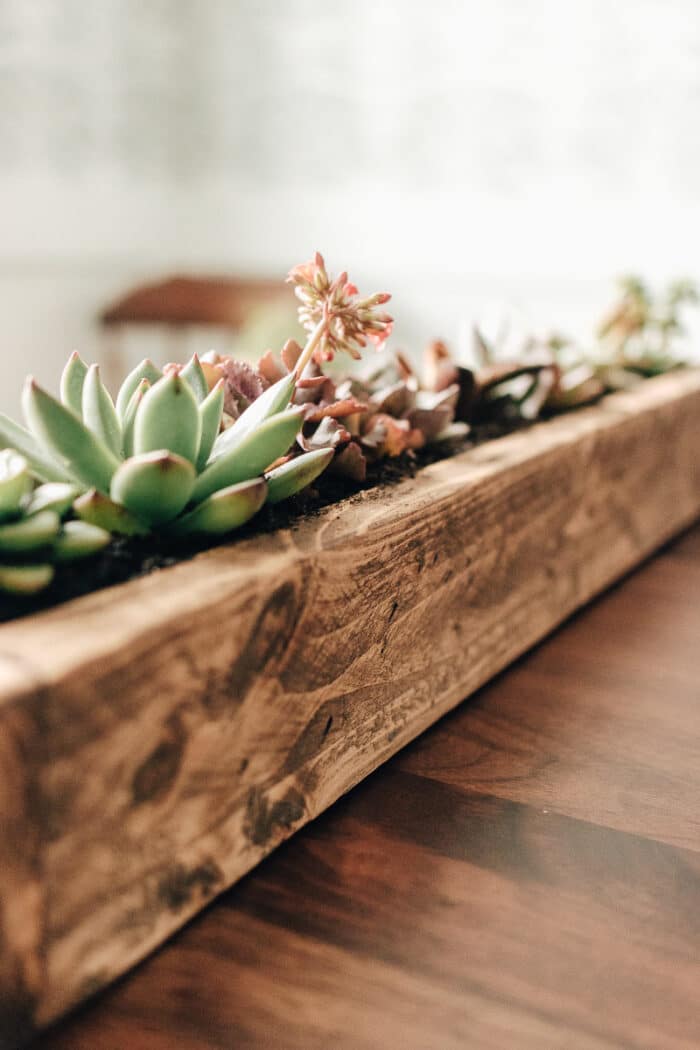 Charming DIY Succulent Planter Box Decorhint