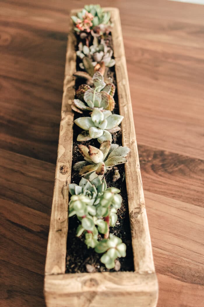 Charming DIY Succulent Planter Box Decorhint