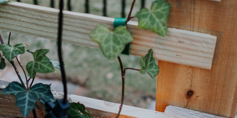 Step by Step Tutorial for Building a Privacy Trellis - Decor Hint View of a cedar and pine diy trellis against planter boxes. how to build a trellis from start to finish! Learn how easy it is to make your own!