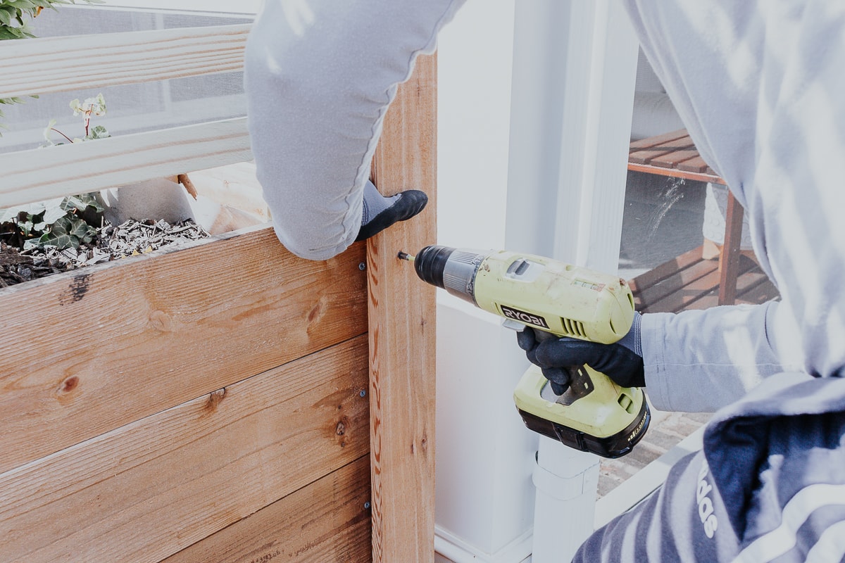 Step by Step how to build a trellis