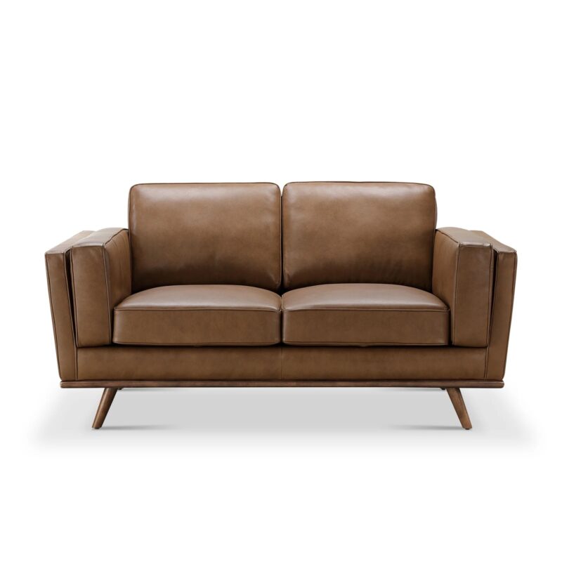 15 Affordable Leather Couches (2024) Decor Hint