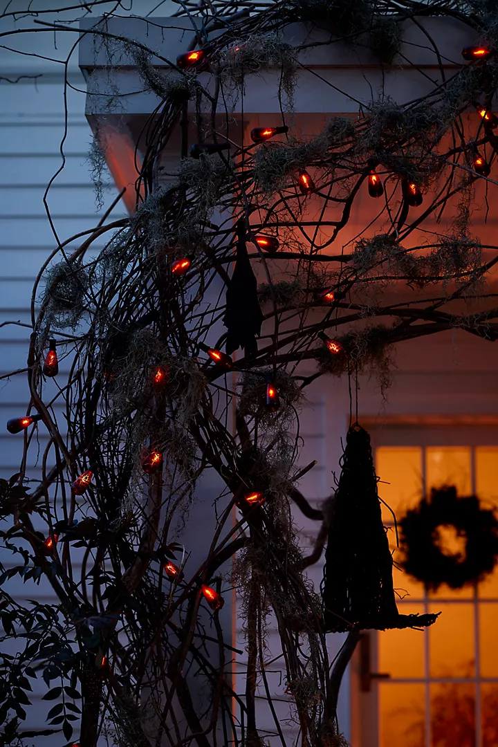 All the Fall Feels - Decor Hint red lighted black branches for halloween