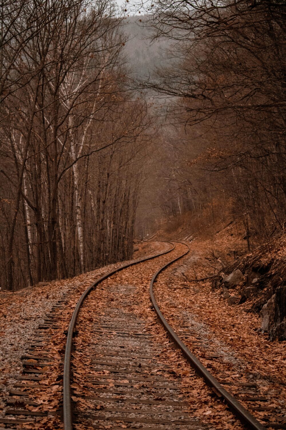 All the Fall Feels - Decor Hint fall pathway covered in leaves