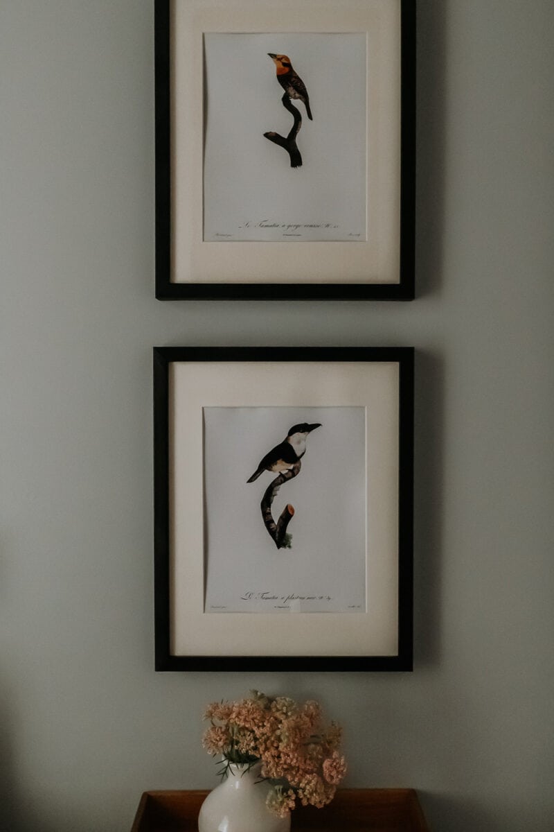 How To Spray Paint Picture Frames