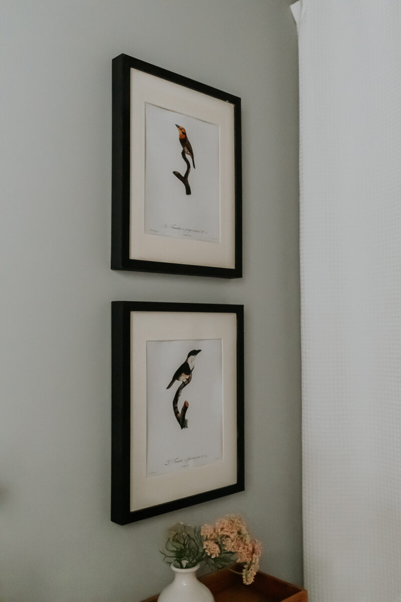 How To Spray Paint Picture Frames