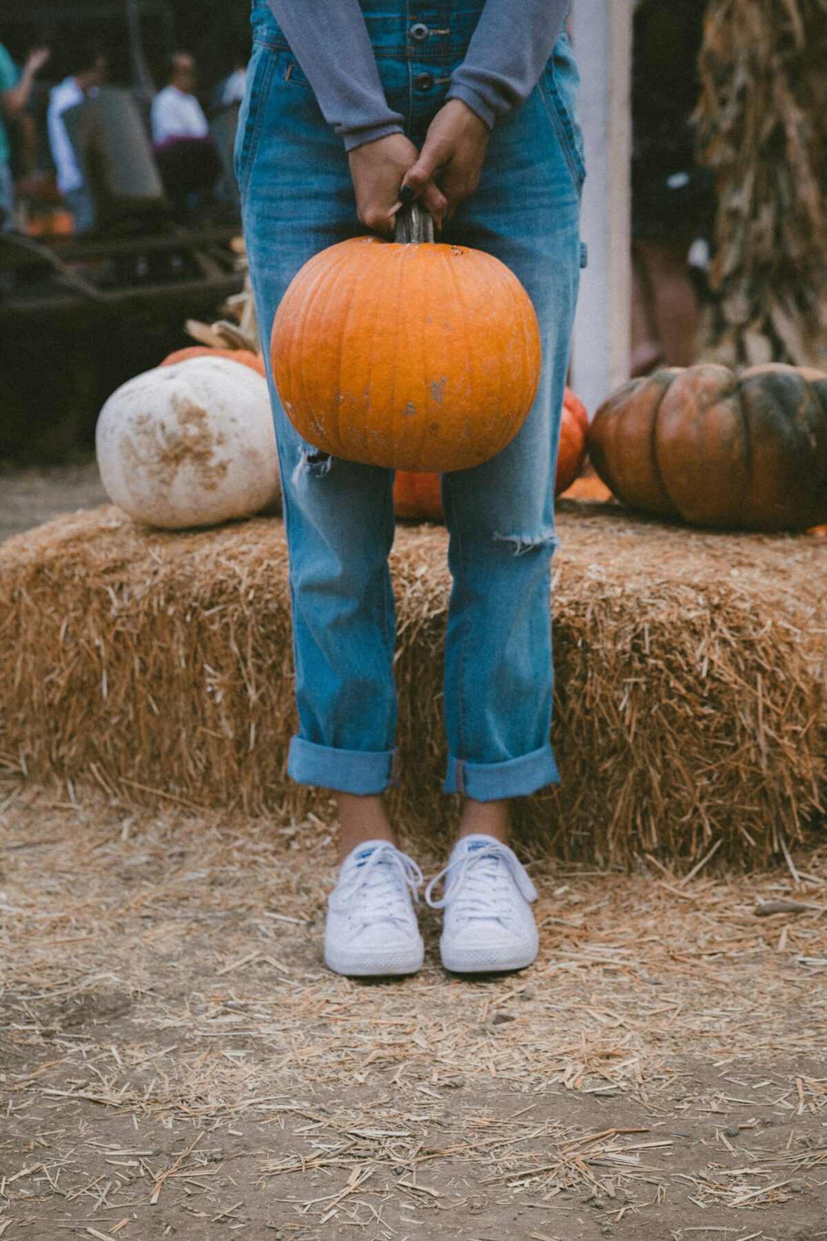 girl holding a pumpkin.