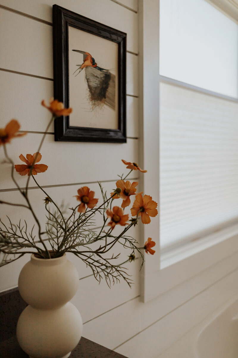 Our Shiplap Bathroom Before And After Transformation