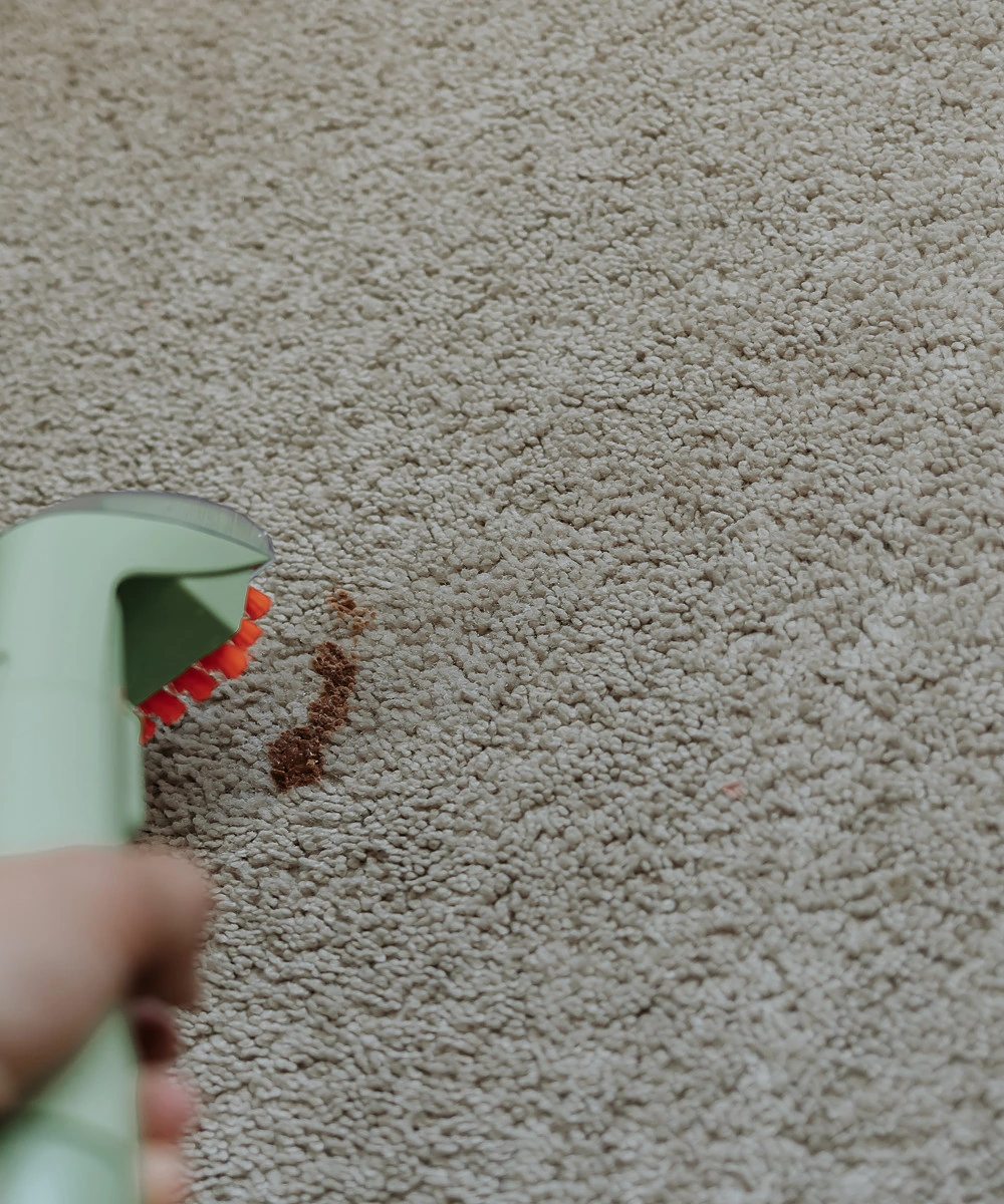 i-found-the-holy-grail-of-carpet-stain-removers