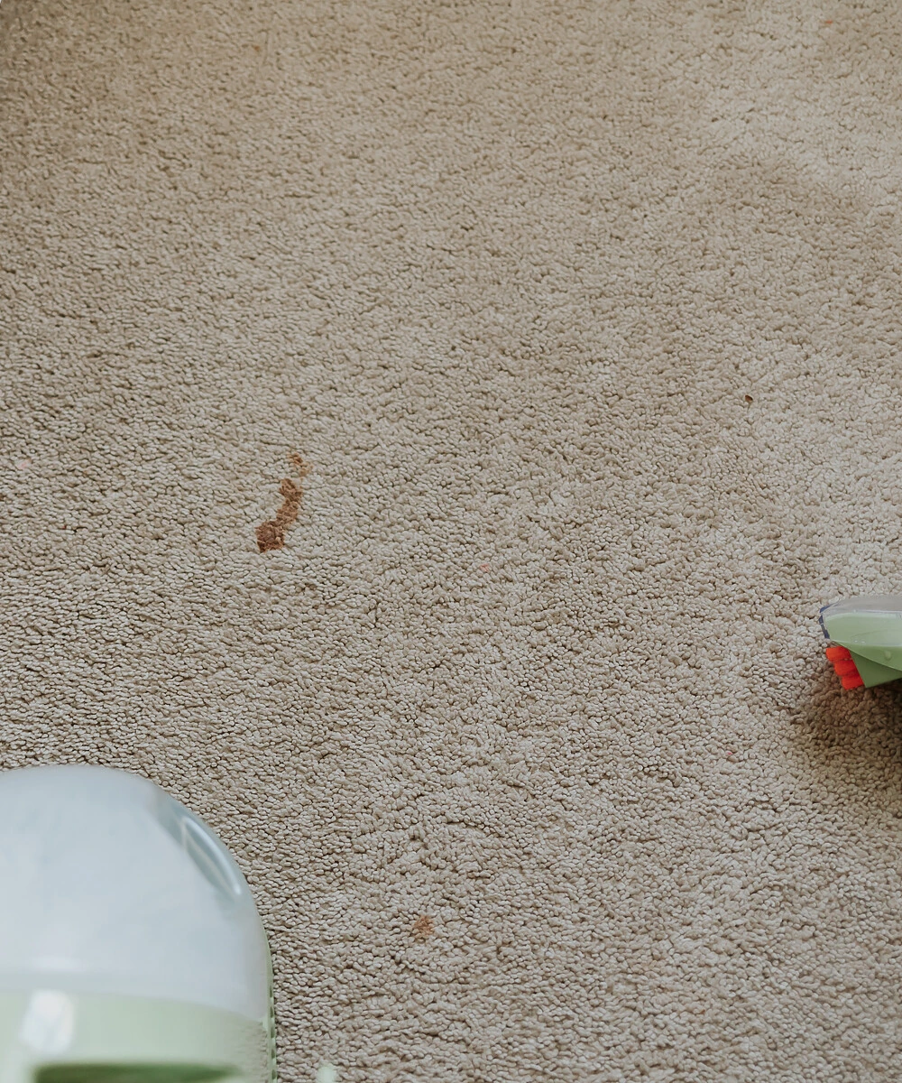 i-found-the-holy-grail-of-carpet-stain-removers
