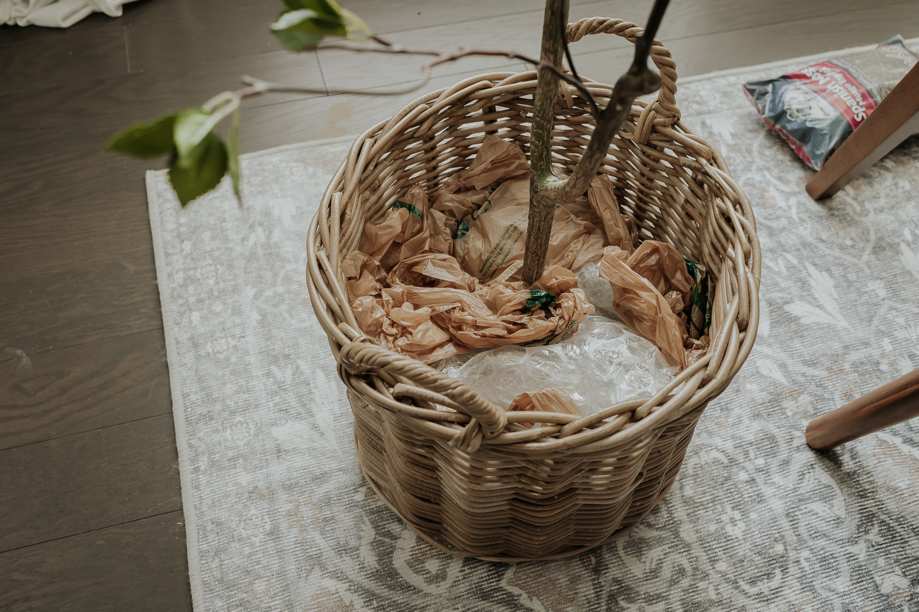 How To Pot Faux Trees And Plants Like A Pro Decor Hint