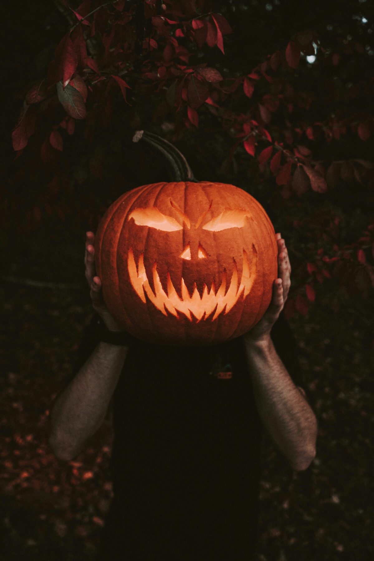 10 Free Pumpkin Carving Stencils + Essential Tools - Decor Hint holding a lit carved pumpkin