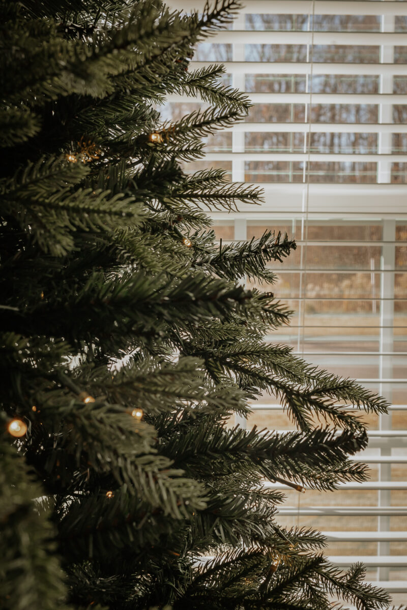 King Of Christmas Trees Review One Year Later