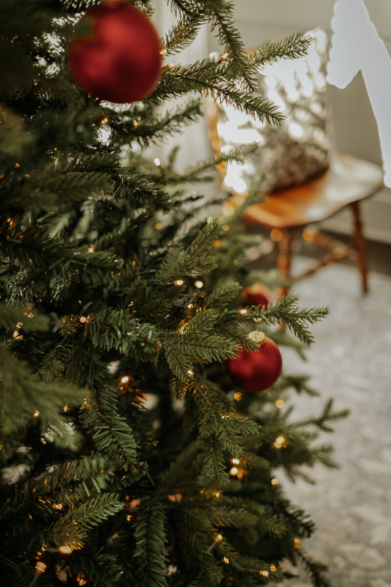 King Of Christmas Trees Review One Year Later