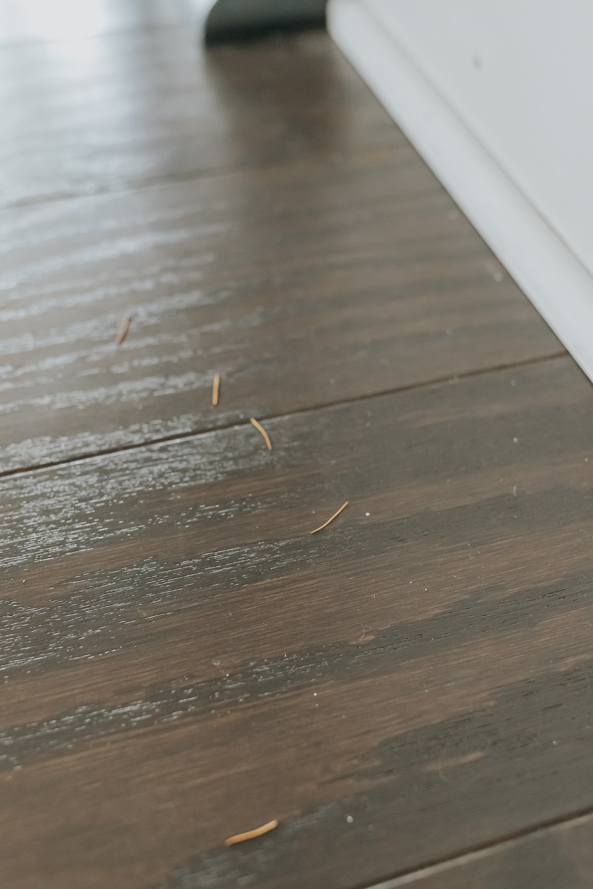 Why The Tineco Wet Dry Vacuum Has Been A Game-Changer For Me