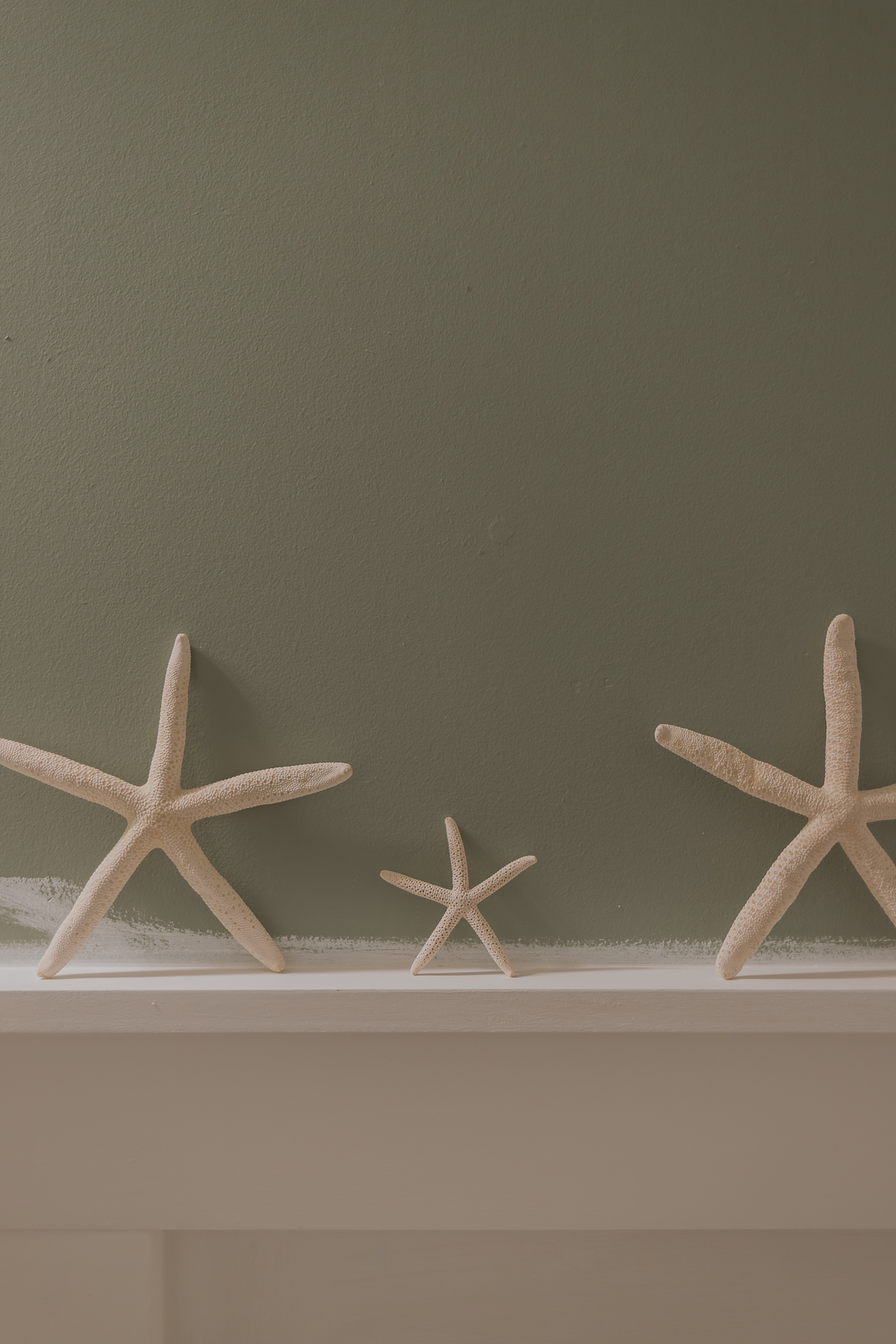 green painted wall with starfish leaning on the ledge of the wall.