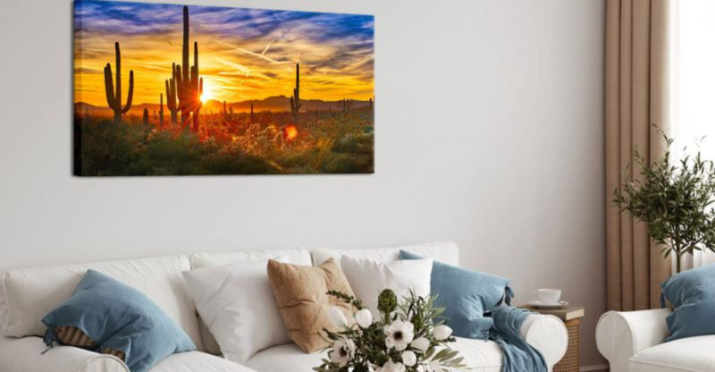 13 Desert-Inspired Decor Elements Found In Arizona Living Rooms