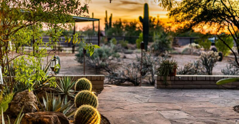 Budget-Friendly Renovation Projects Loved In Arizona