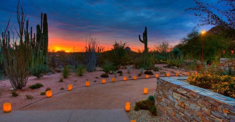 How Phoenix Residents Design Their Backyards For Year-Round Living