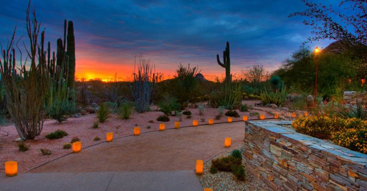 How Phoenix Residents Design Their Backyards For Year-Round Living - Decor Hint How Phoenix Residents Design Their Backyards For Year Round Living - Decor Hint