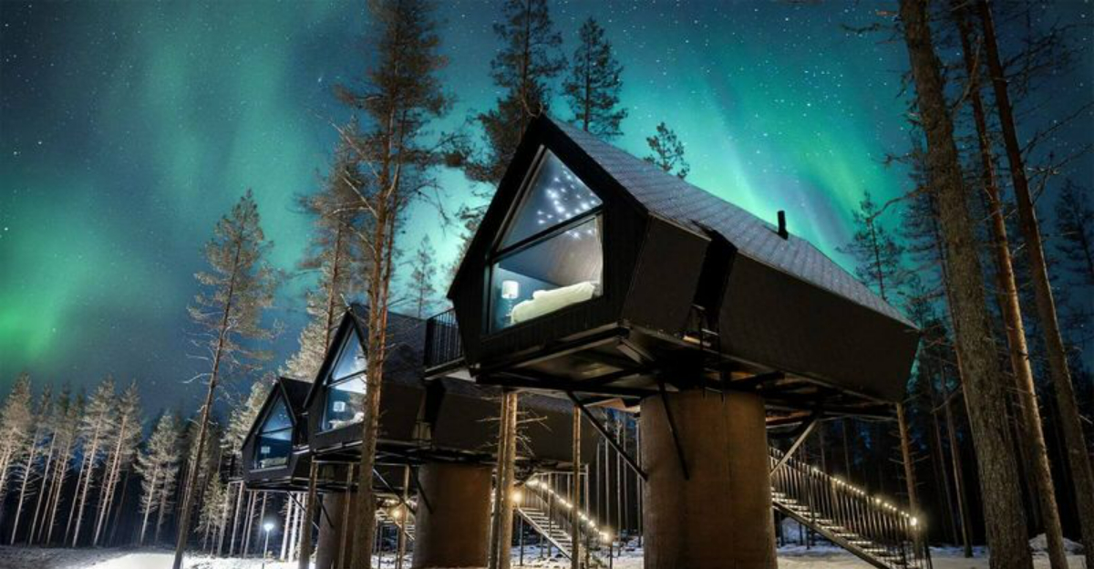 13 Luxe Treetop Retreats Perfect for Living the High Life - Decor Hint