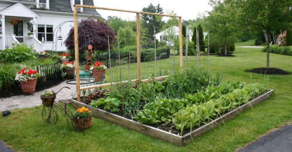 13 Yard Features That Could Soon Be Banned In U.S. Neighborhoods - Decor Hint