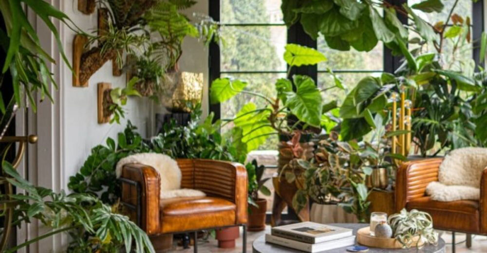 14 Must Have Items For A Cozy Stylish Living Room - Decor Hint