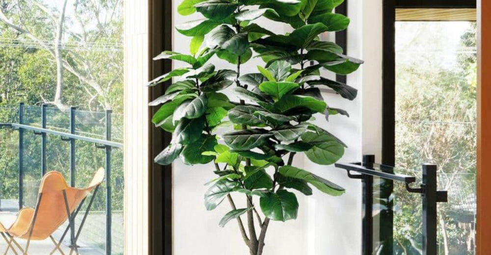 15 Home Decor Items Gaining Popularity In California Homes For 2025 Plus 5 Trends Already Hot - Decor Hint