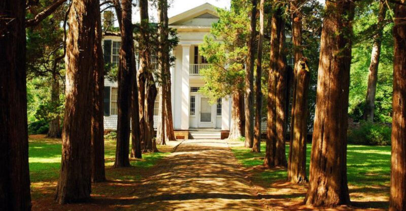 21 Secluded Mansions In Mississippi Featuring Centuries Of Craftsmanship