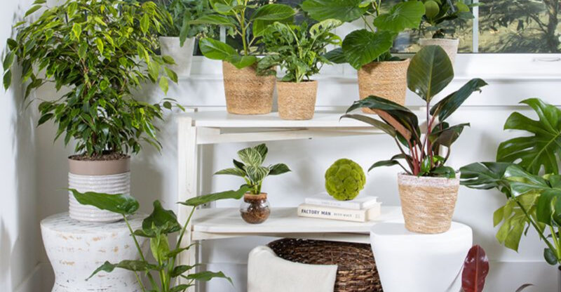 8 Affordable Things Interior Designers Always Buy From The Home Depot