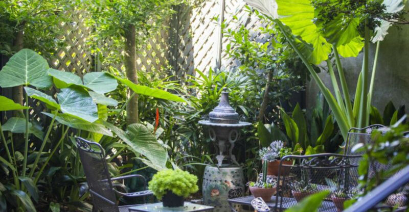 Bold Bayou Style 13 Louisiana Design Details You’ll Love