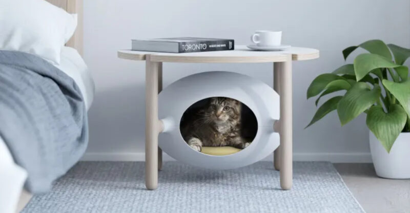Creature Comforts: How Pets Are Influencing Home Design Trends