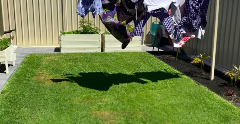 From Plants To Patios 30 Landscaping Decisions That Might Annoy People Next Door