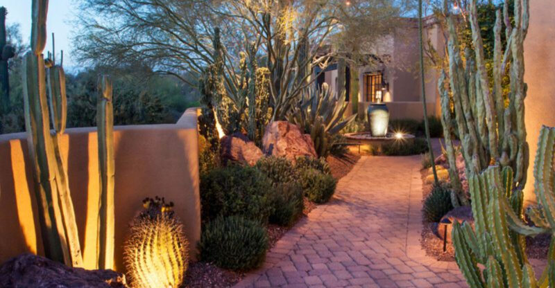 Phoenix Know-How 10 Creative Outdoor Designs For Thriving In The Desert