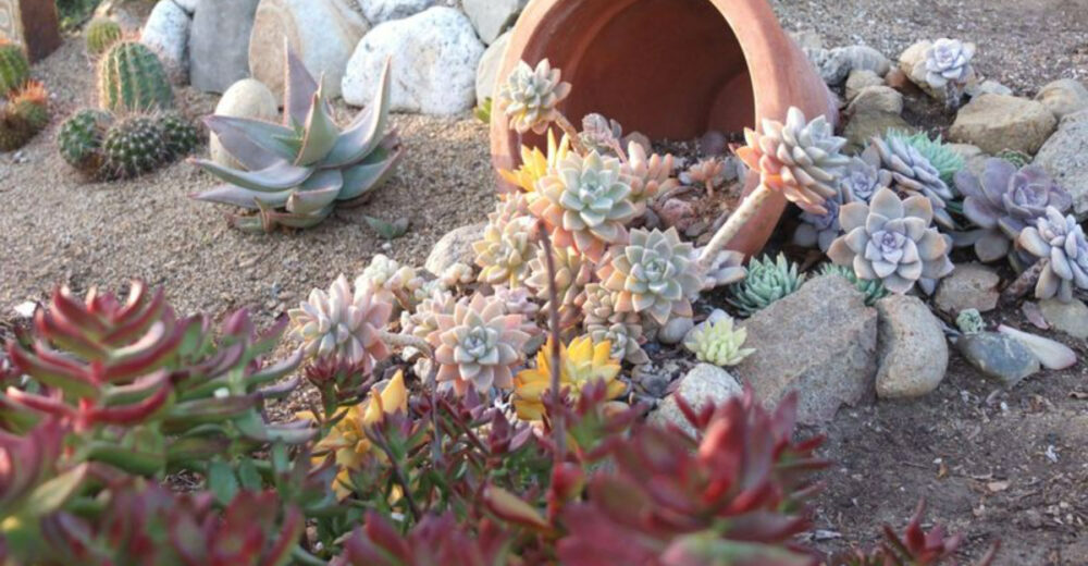 These 10 Las Vegas Homes Prove Coastal Inspired Curb Appeal Can Work Anywhere - Decor Hint