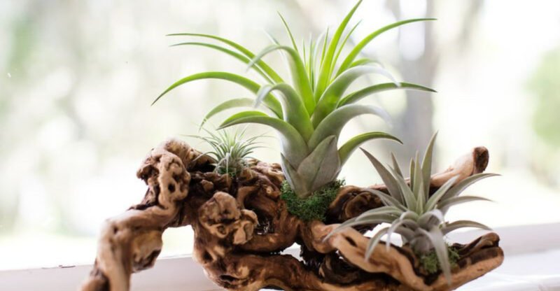 These 20 Garden Decor Ideas Are The Little Details That Will Make The Biggest Difference In Your Outdoor Space
