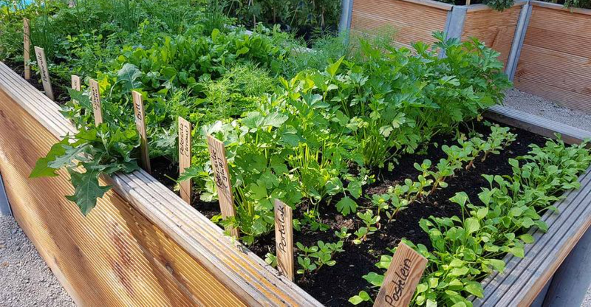 Weather-Ready & Wallet-Friendly: 8 Home Projects Iowans Love To DIY - Decor Hint Weather Ready Wallet Friendly 8 Home Projects Iowans Love To DIY - Decor Hint