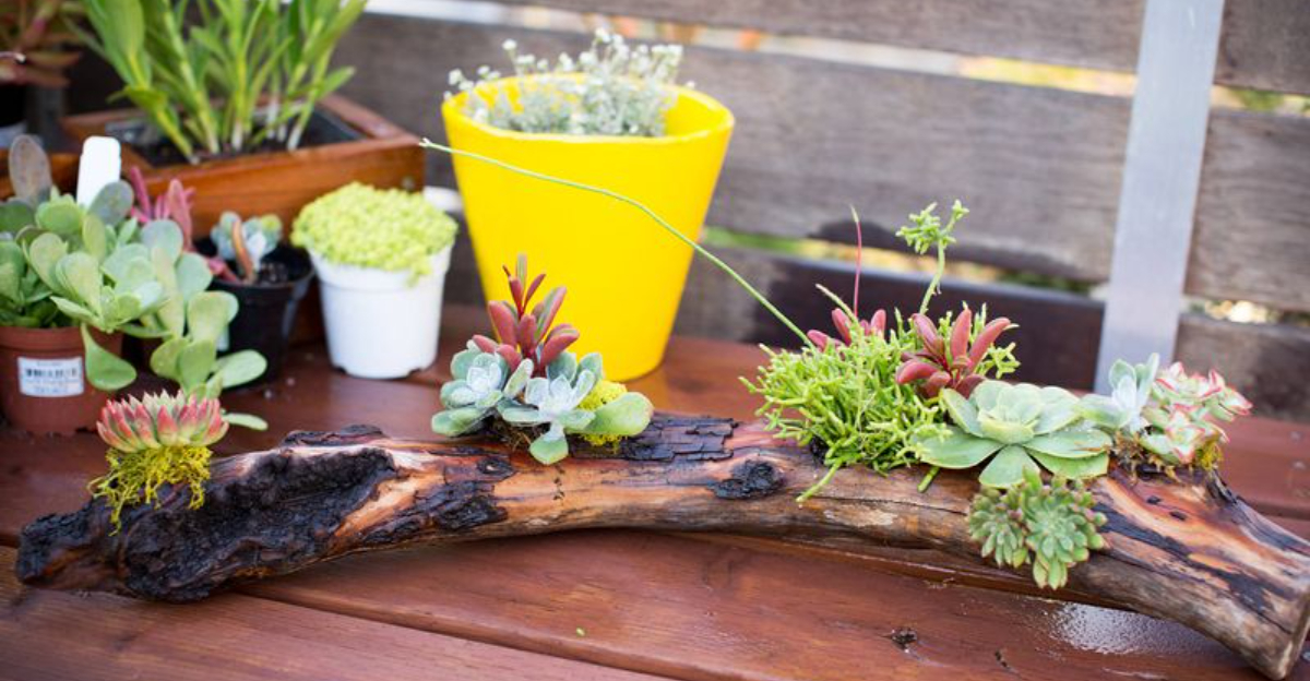 What Rhode Island DIYers Are Doing This Weekend (And You'll Want To Try Too) - Decor Hint What Rhode Island DIYers Are Doing This Weekend And Youll Want To Try Too - Decor Hint