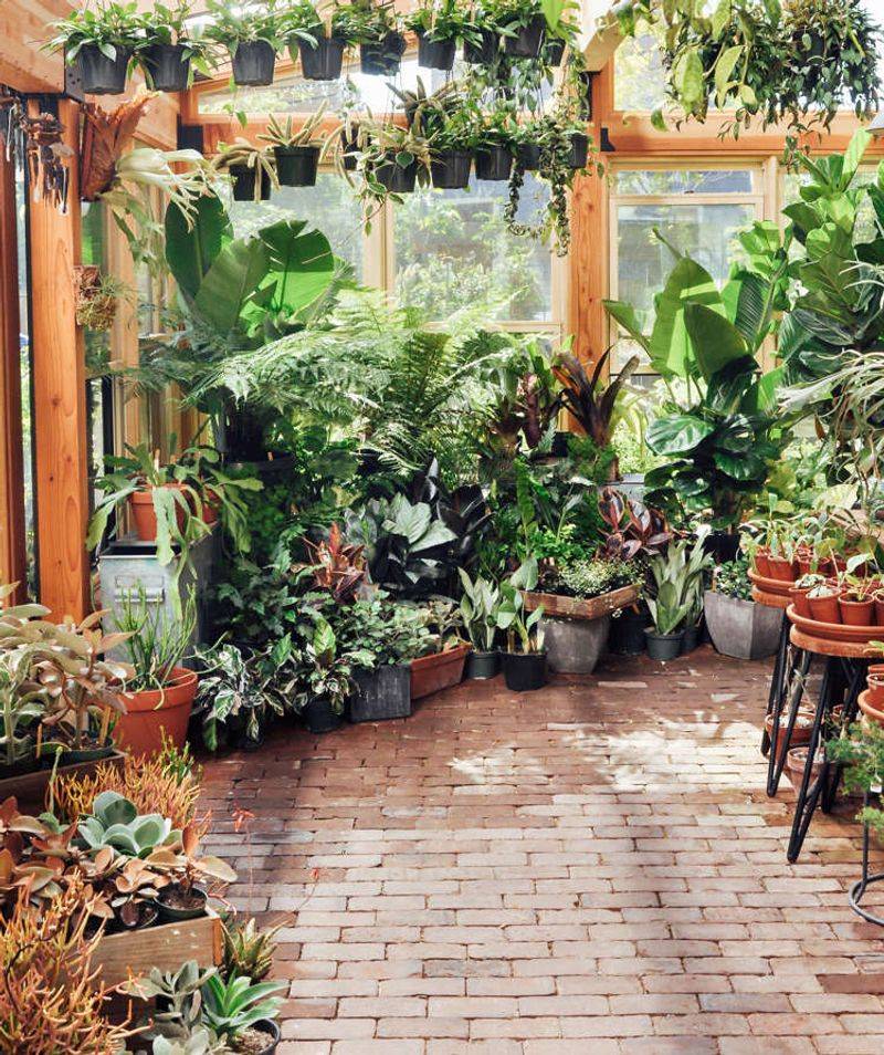 Pistils Nursery 