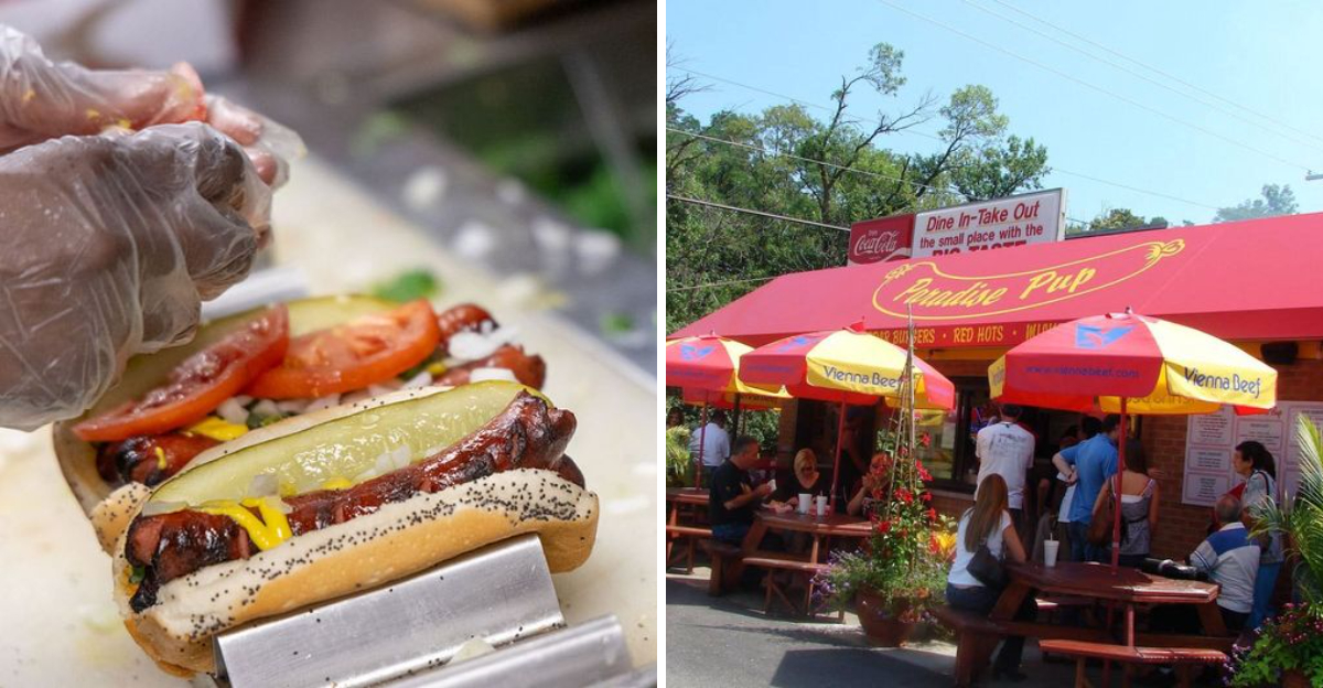 10 Illinois Hot Dog Stands Everyone Keeps Coming Back To - Decor Hint 10 Illinois Hot Dog Stands Everyone Keeps Coming Back To - Decor Hint
