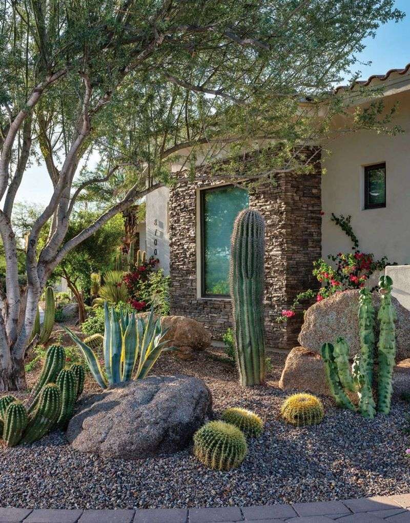 12 Nevada Desert Homes With Décor Inspired By Their Surroundings - Decor Hint Cactus Chic in Henderson