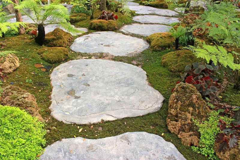 16 Garden Paths In Washington That Capture Park-Like Beauty - Decor Hint Mossy Wonder Walk