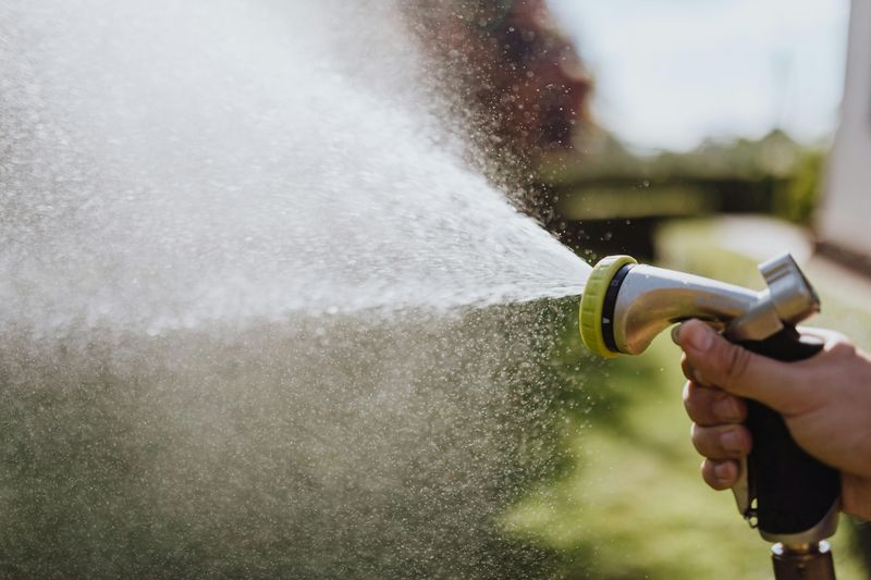 16 Common Garden Mistakes You Can Avoid Or Fix - Decor Hint Overwatering Your Plants