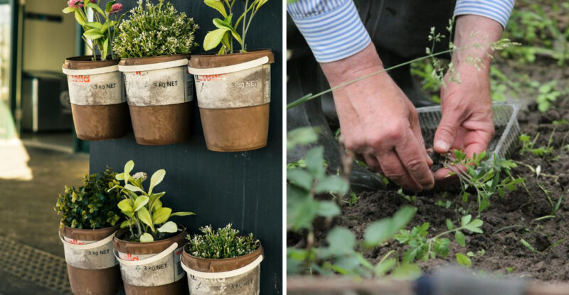 16 Common Garden Mistakes You Can Avoid Or Fix