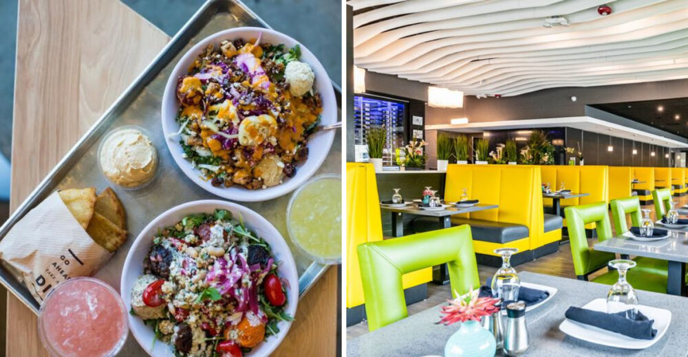 4 Chains North Carolinians Left Behind And 4 Fresh Ones They Love Now - Decor Hint