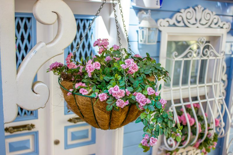 5 Porch Styling Ideas That Could Elevate Your Exterior - Decor Hint Hanging Flower Baskets