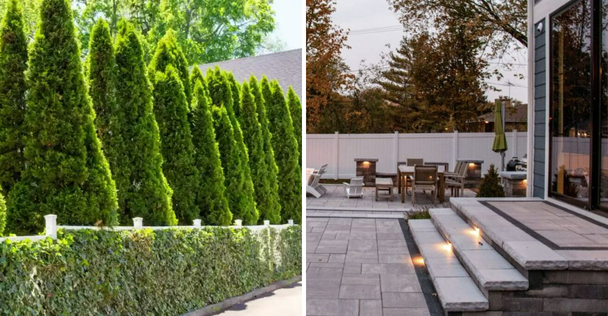 5 Things That May Affect Your Backyard's Appeal - Decor Hint 5 Things That May Affect Your Backyards Appeal - Decor Hint